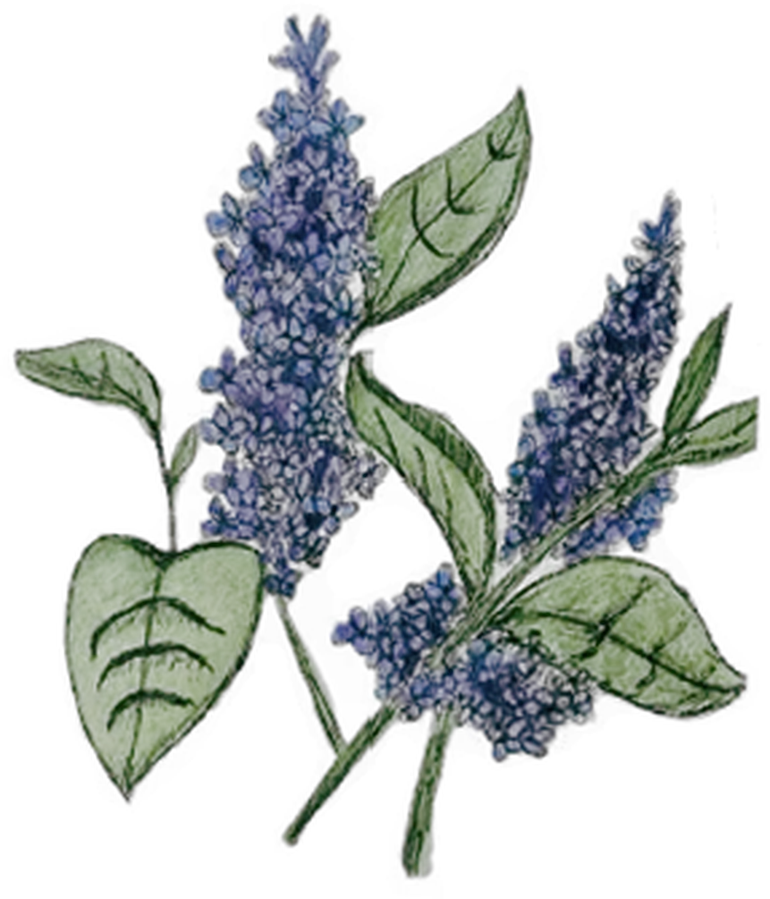 Hand-painted lilac